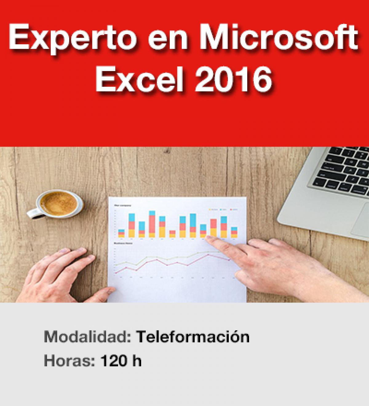 Experto Excel 2016