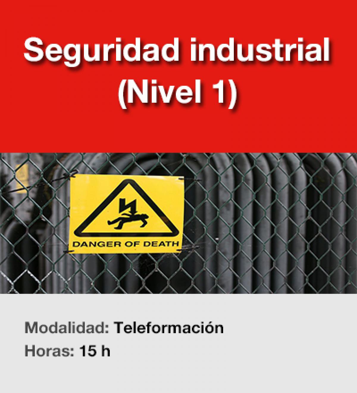 Seguridad industrial (Nivel 1)