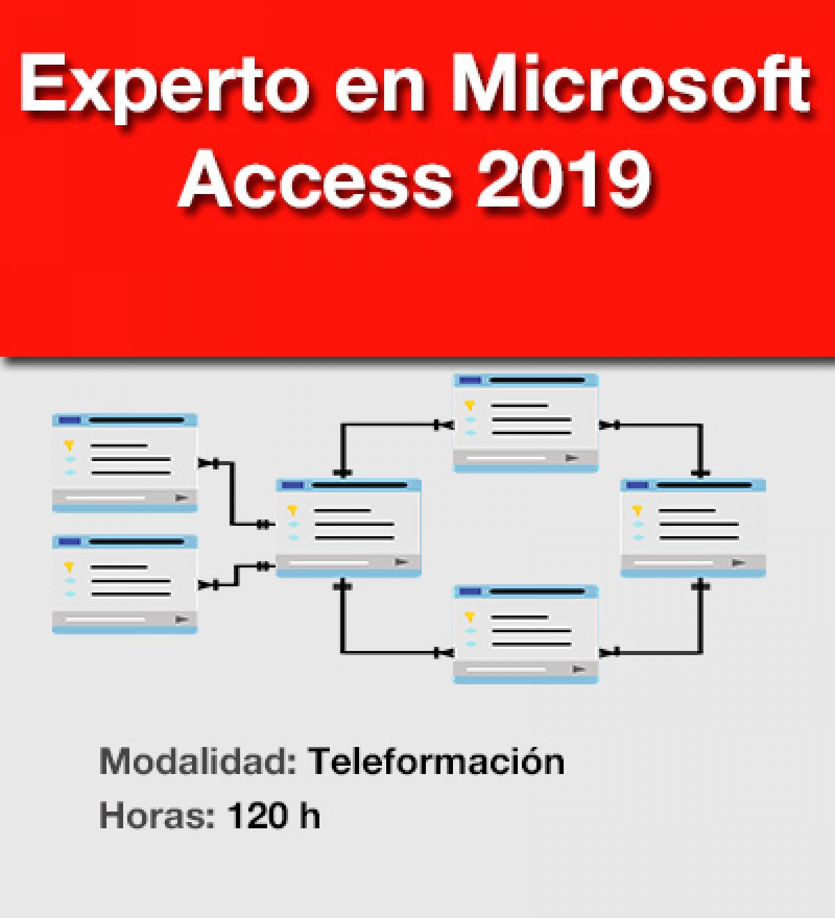 Experto Access 2019