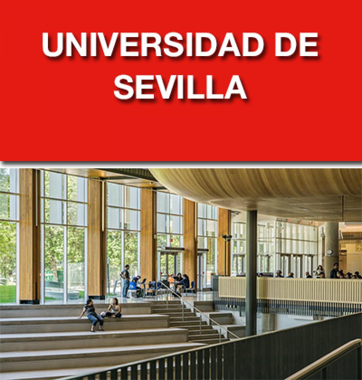 Cursos Universidad de Sevilla