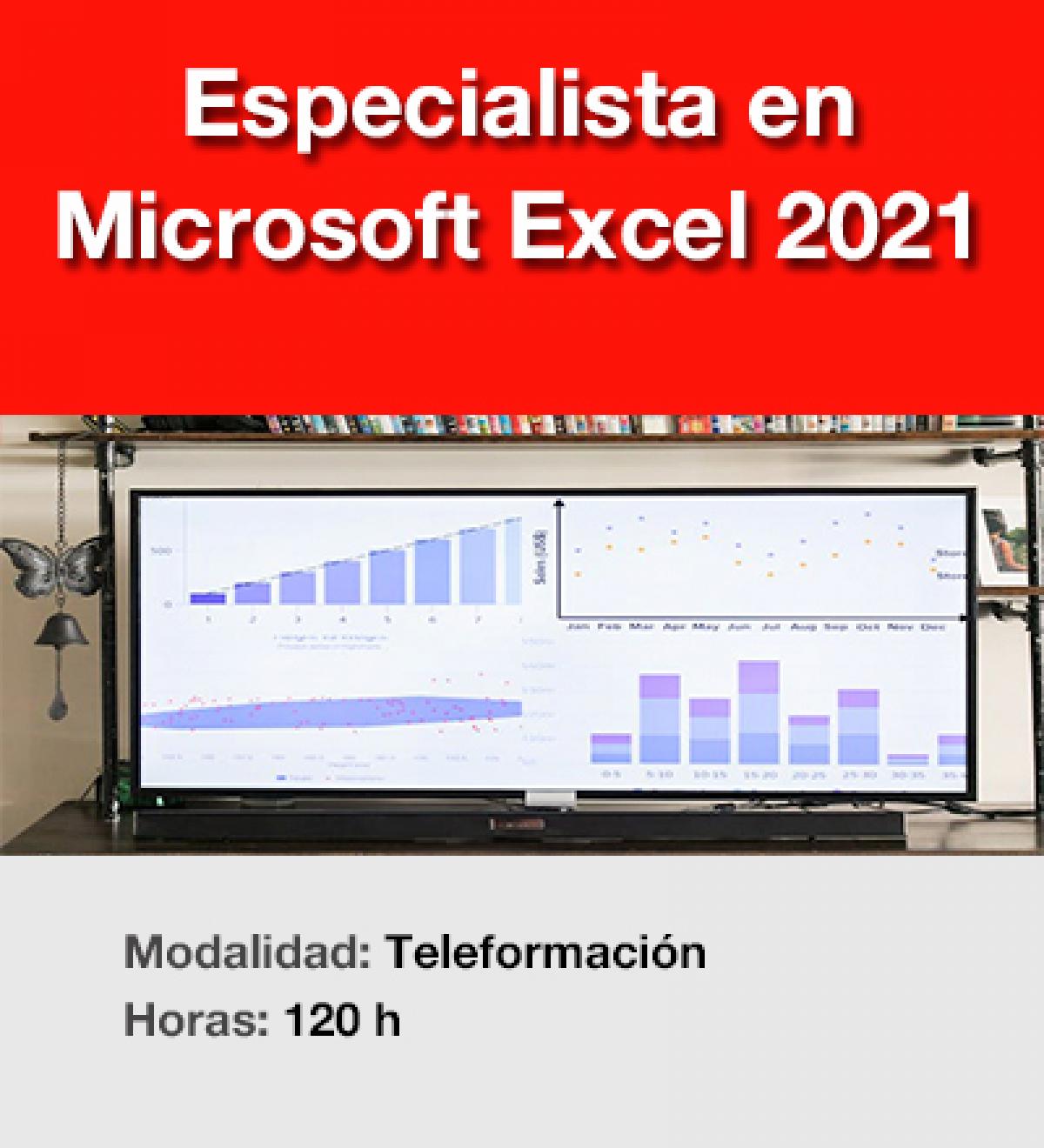 imagen especialista excel 2021