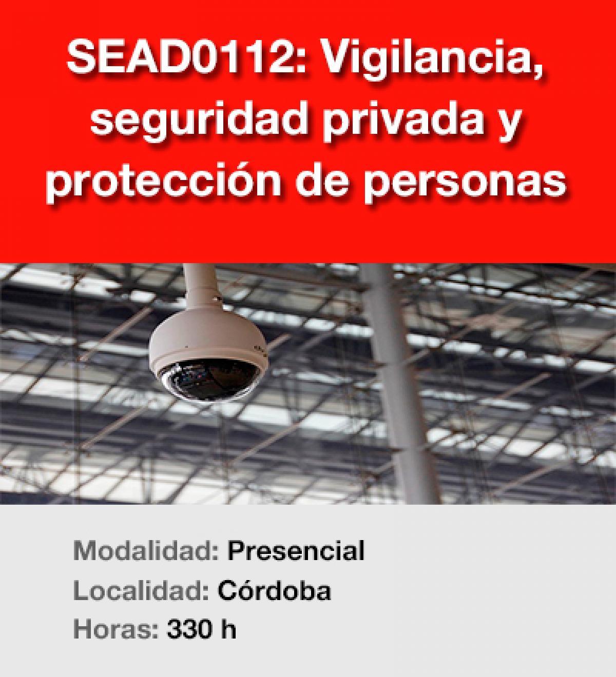 SEAD0112: Vigilancia, seguridad privada y protección de personas
