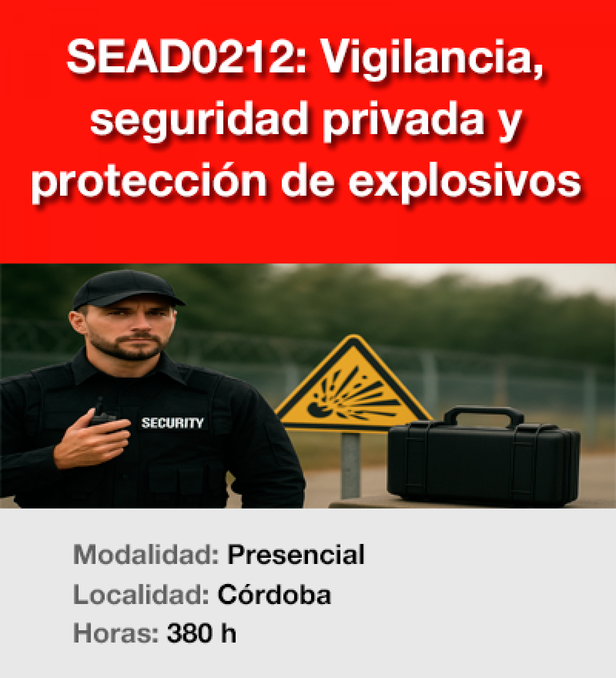 SEAD0212 - VIGILANCIA, SEGURIDAD PRIVADA Y PROTECCIÓN DE EXPLOSIVOS