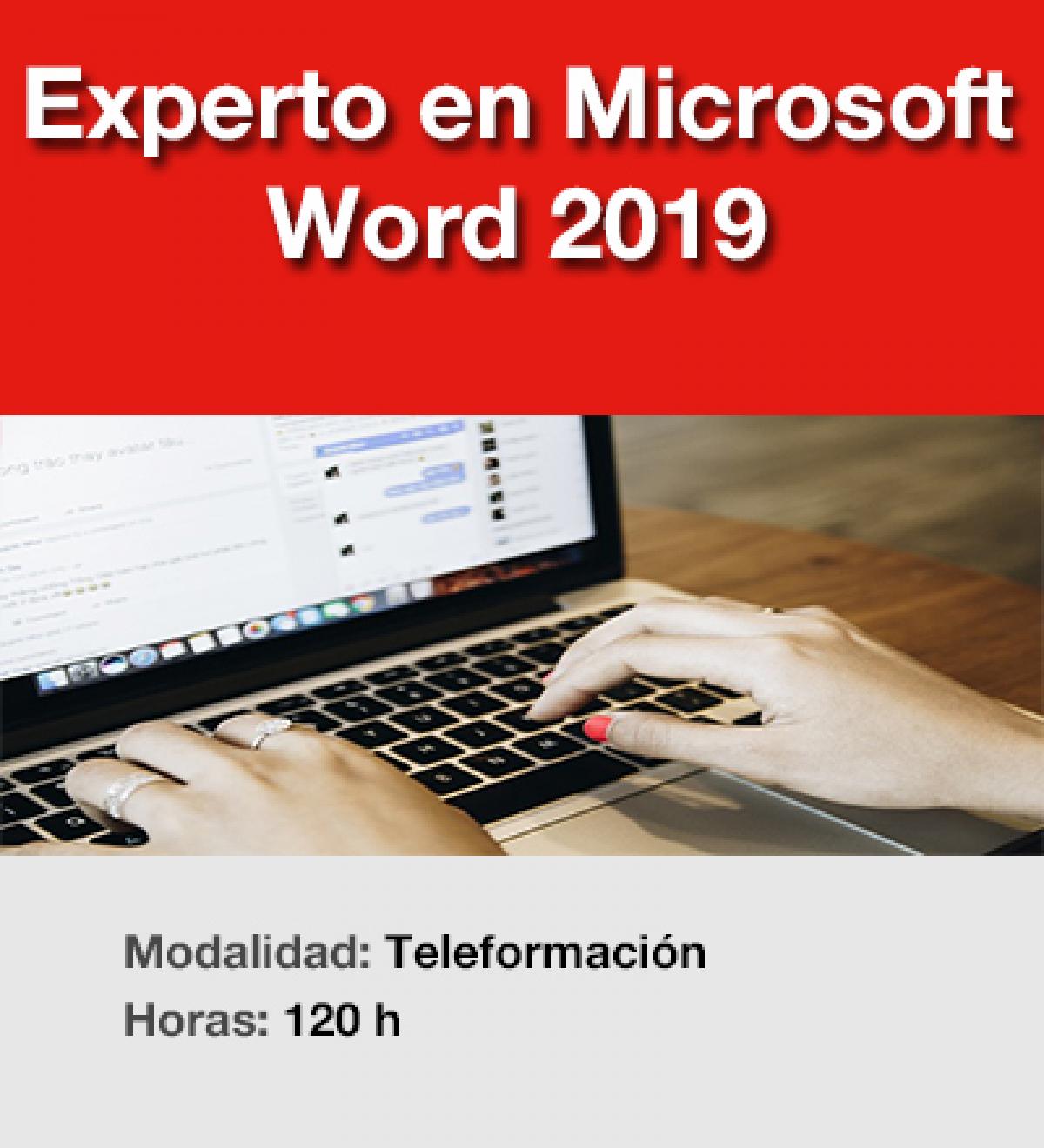 Experto Word 2019