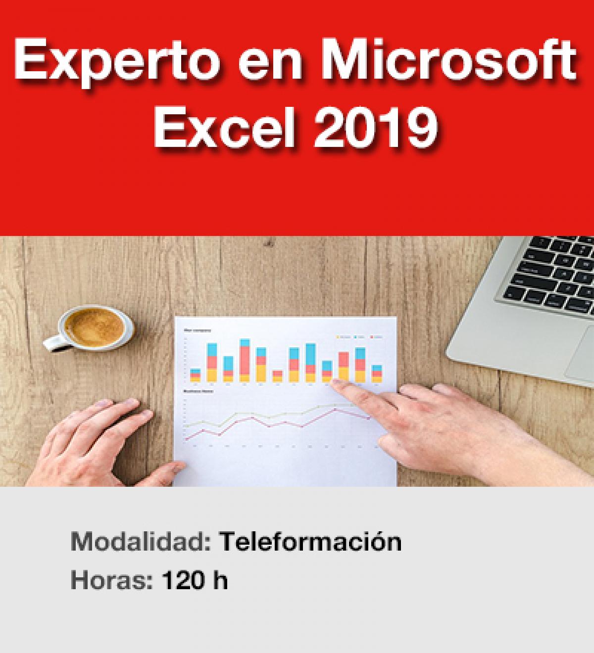 Experto Excel 2019